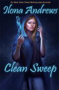 Clean Sweep Book Cover